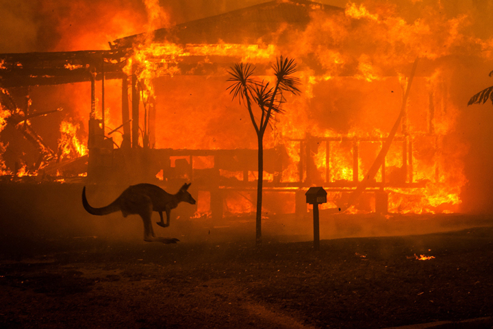 “The moment of crisis has come” warns Sir David Attenborough